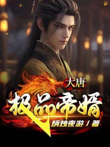 大唐极品帝婿李斯文