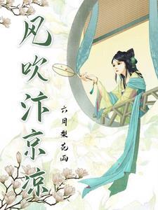 风起汴京什么意思