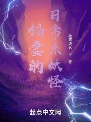 稻妻每日