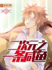 二次元之一条咸鱼完整版
