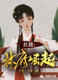 重生红楼之林府嫡子