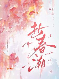 赴春潮讲什么