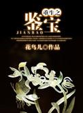 重生之鉴宝大亨清秋