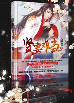 贤妻难当电视剧免费观看
